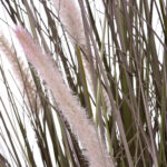 Wild Grass Pot 36 Inch - Image 4