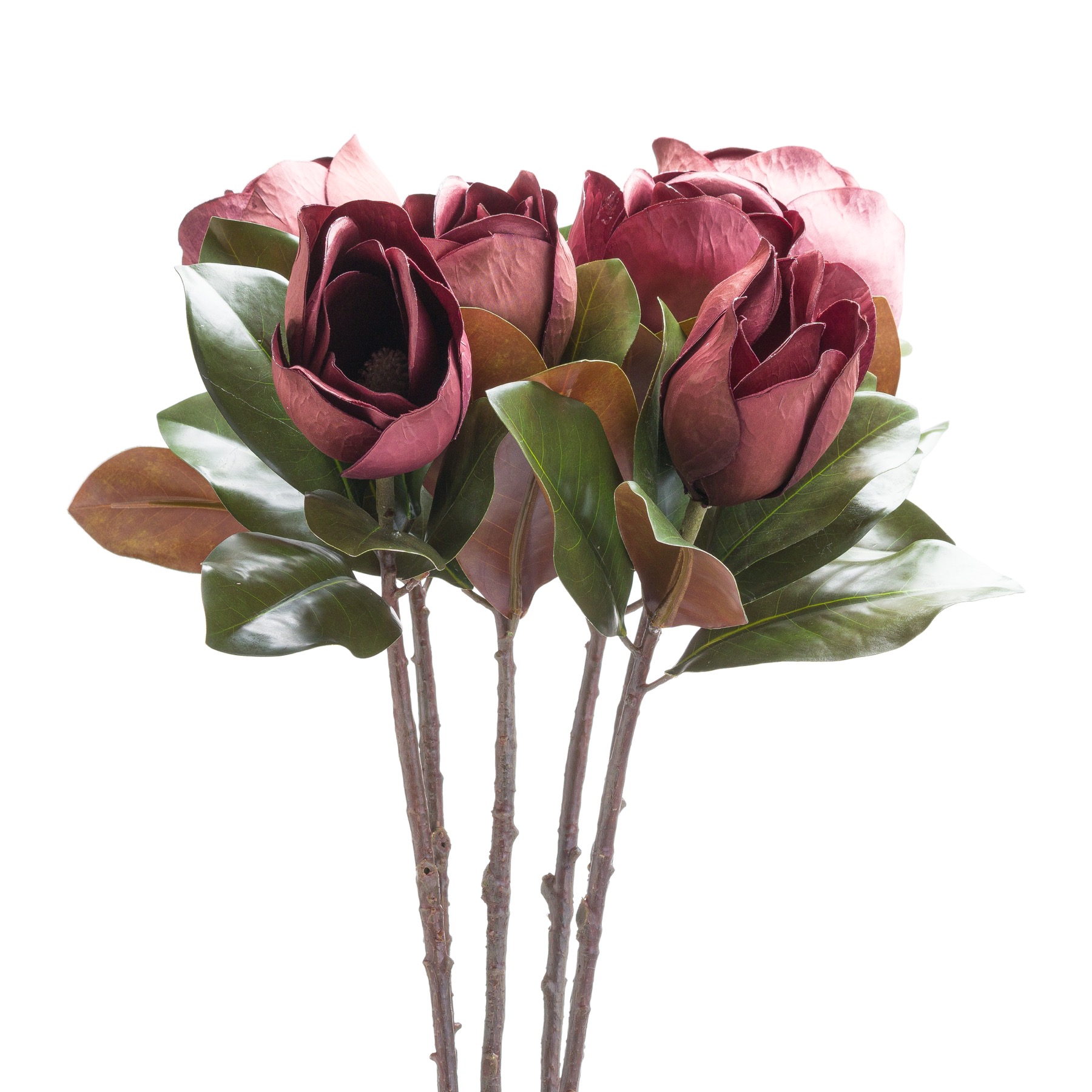 21235.jpg Deep Purple Magnolia Stem - Image 1