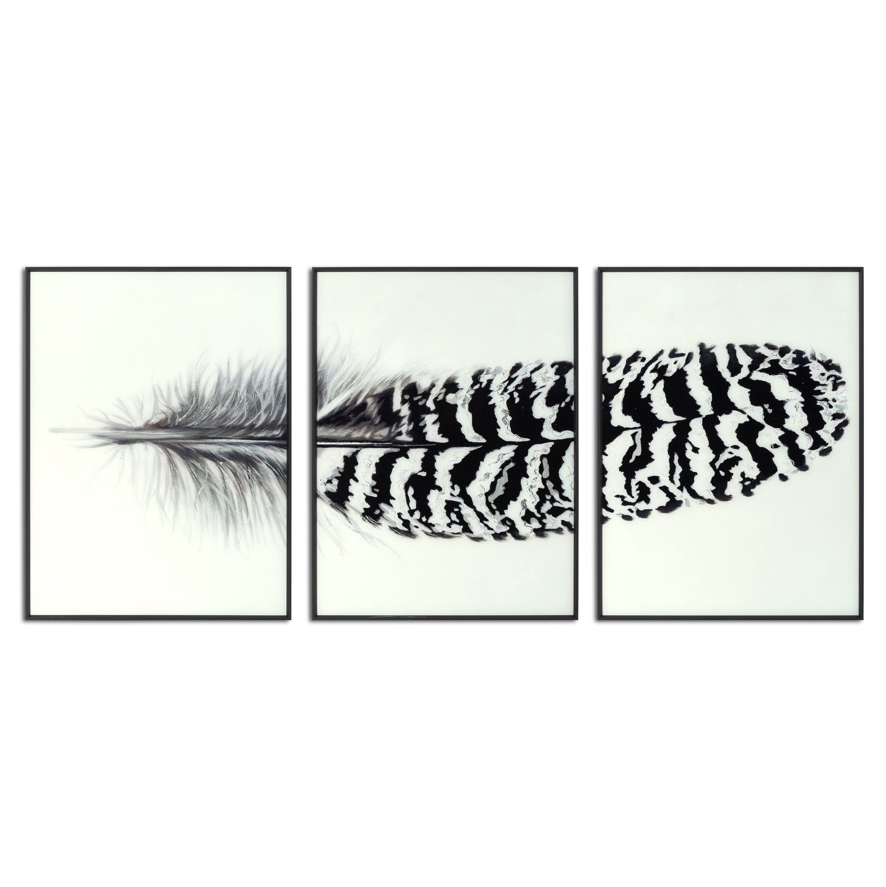 21792.jpg Black Striped Feather Over 3 Black Glass Frames - Image 1