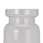 Tall Clear Bottle Vase - Image 2