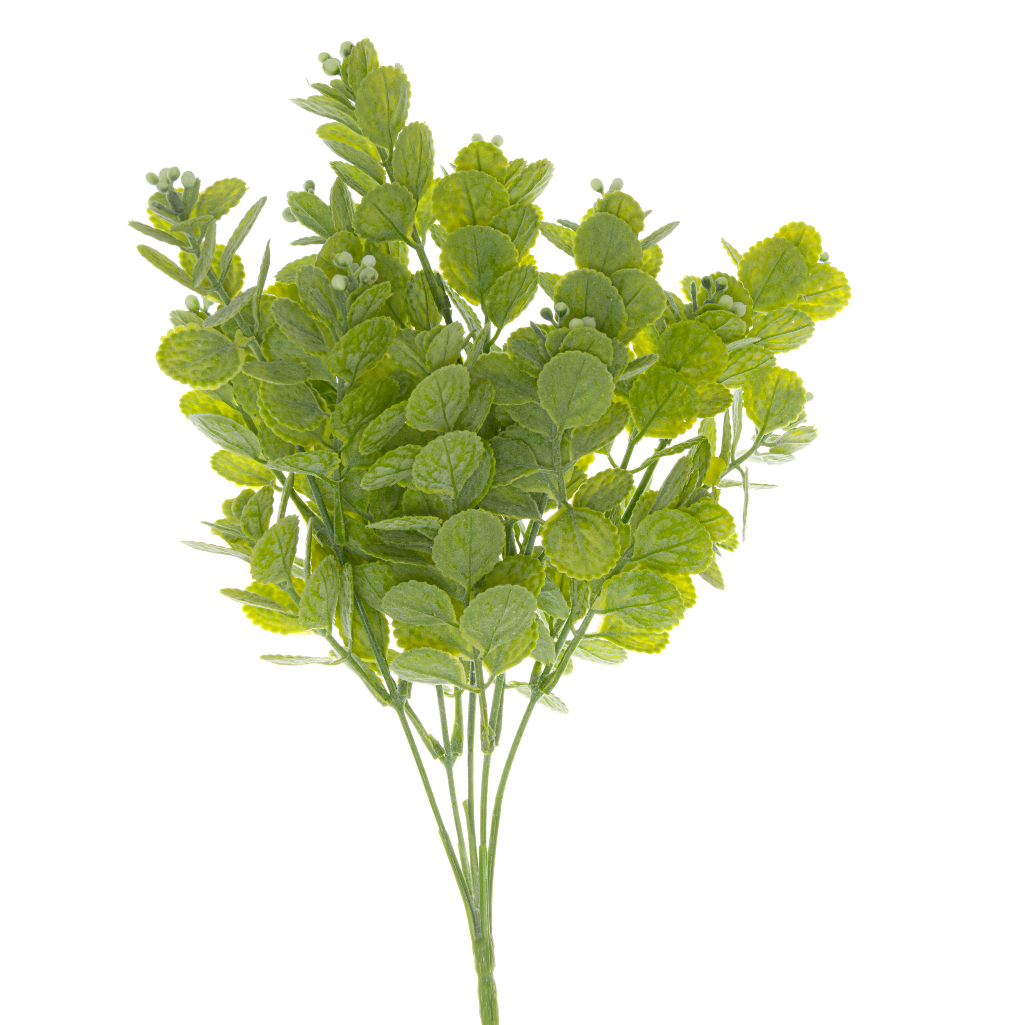 22172.jpg Spring Herb Greenery Bunch - Image 1
