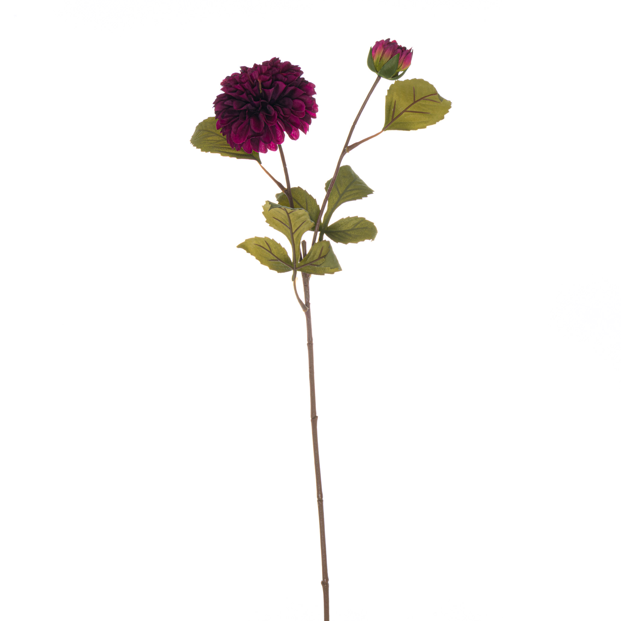 22192.jpg Deep Purple Dahlia Stem - Image 1