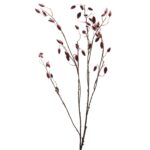 Burgundy Rosehip Stem - Image 3