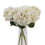 White Hydrangea Bunch - Image 4