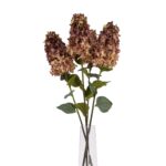 Burgundy Spear Hydrangea - Image 4