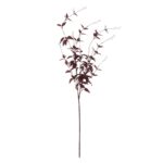 Ornamental Burgundy Leaf - Image 3