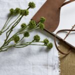 Green Craspedia Stem - Image 2