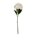 White Hydrangea Stem - Image 3