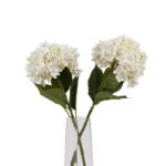 White Hydrangea Stem - Image 4