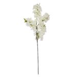 Large White Full Cherry Blossom Stem - Image 3