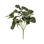 Short Eucalyptus Bunch - Image 3