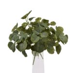 Short Eucalyptus Bunch - Image 4