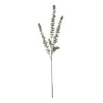 Gunnii Blue Eucalyptus Spray - Image 3